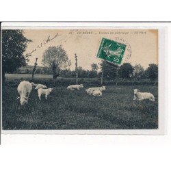 Le Berry, Vaches au Pâturage - très bon état