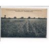 CHATEAUNEUF-sur-CHER : Vue d'une partie des Champs de Cultures, Hybridations, Maison H.DEVEAUX - très bon état