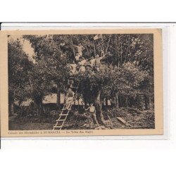 ST-MARCEL : Colonie des Hirondelles, La Tribu des Aigles - très bon état