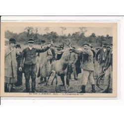 En Forêt de BRETEUIL : Présentation du Cerf - très bon état