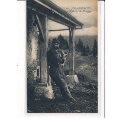 Type de Berger du Haut-Jura - très bon état