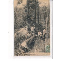 Dans les Landes, Coupe dans la forêt de Pins - très bon état
