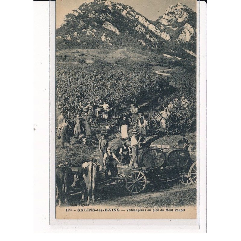 SALINS-les-BAINS : Vendangeurs au pied du Mont Poupet - très bon état