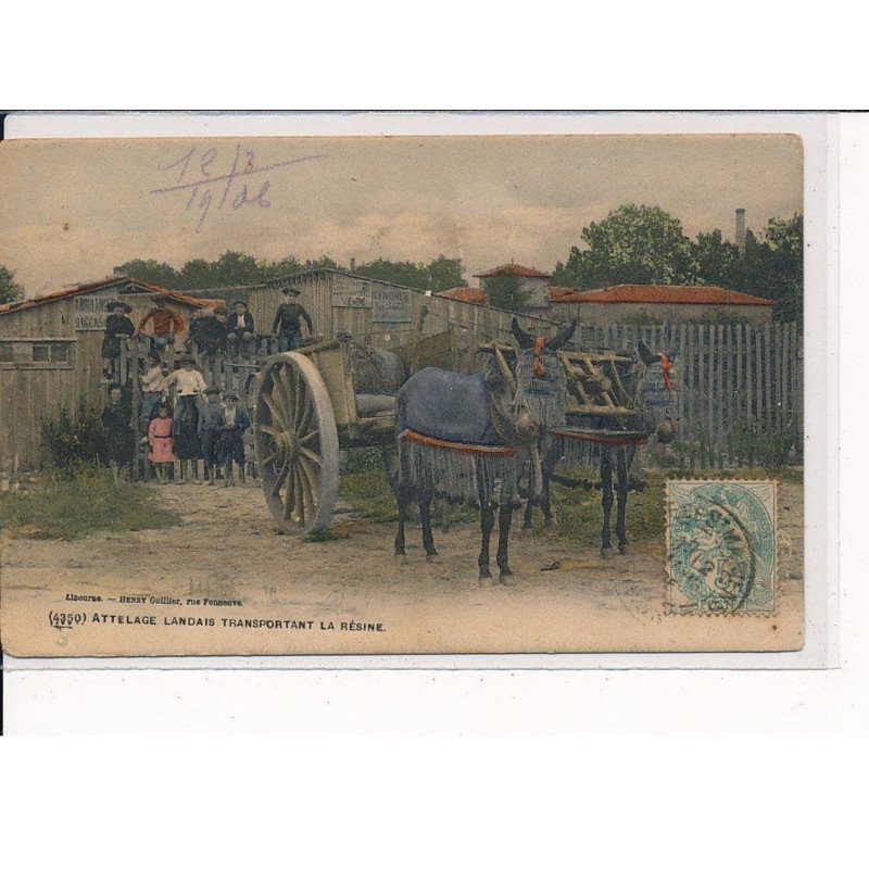 Attelage Landais transportant la résine - très bon état