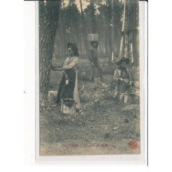 Récolte de la Résine - très bon état