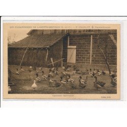 LAMOTTE-BEUVRON: "Les Faisanderies" PH.CHARLOT, canards sauvages - très bon état