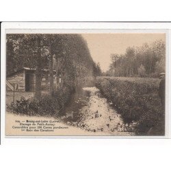 MEUNG-sur-LOIRE : Elevage du Petit-Aunay, Canardière pour 200 Canes pondeuses, 1er bain des Canetons - très bon état