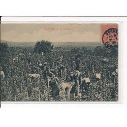Les vendanges en Bourgogne - très bon état