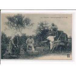 Scène de Vendanges - très bon état