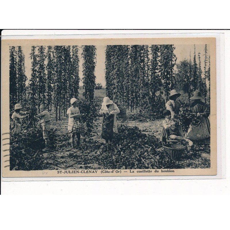 ST-JULIEN-CLENAY : La Cueillette du Houblon - très bon état