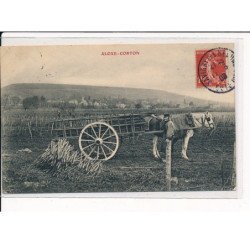 ALOXE-CORTON : Vendanges - très bon état