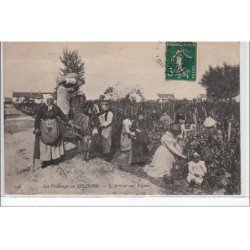LES VENDANGES EN SOLOGNE : l'arrivée aux vignes - très bon état