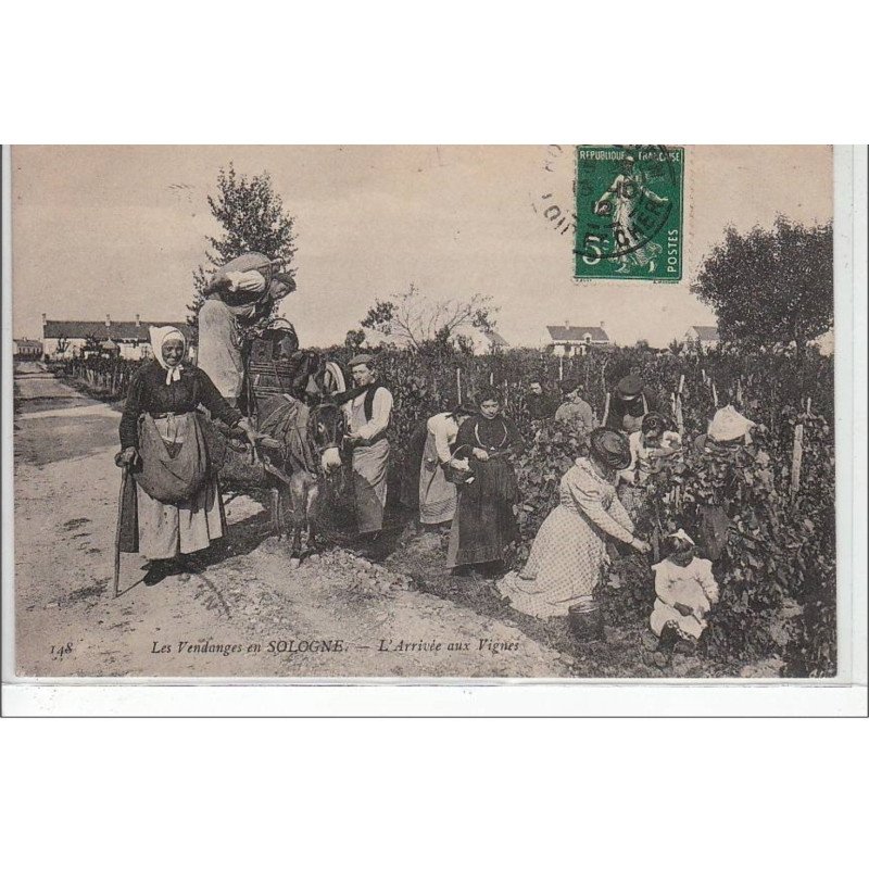 LES VENDANGES EN SOLOGNE : l'arrivée aux vignes - très bon état