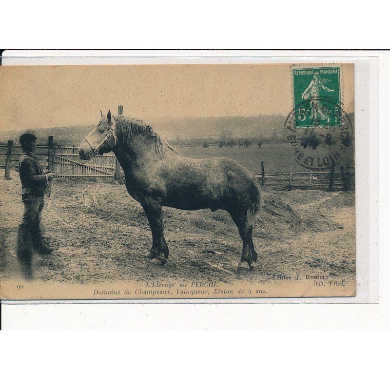 L'Elevage au PERCHE : Domaine de Champeaux, Vainqueur, Etalon de 4 ans - très bon état