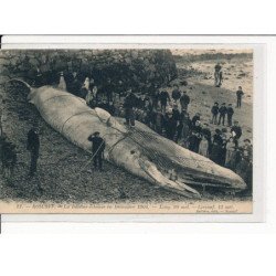 ROSCOFF : La Baleine échouée en Décembre 1904 - très bon état