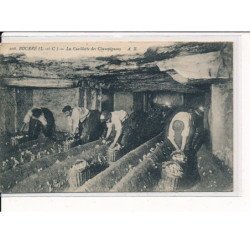 BOURRE : La Cueillette des Champignons - très bon état