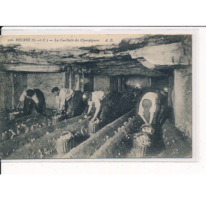 BOURRE : La Cueillette des Champignons - très bon état