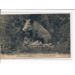 Forêt de St-Michel, Une intéressante famille - très bon état