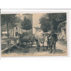 GANNAT : Attelage Bourbonichon - très bon état
