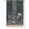 Montagnes du Doubs, L'abattage d'un Sapin - très bon état
