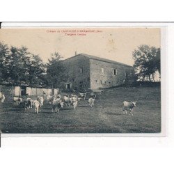 CAMPAGNE-d'ARMAGNAC : Le Château, Troupeau Gascon - très bon état