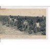 MEDOC : La Cueillette du Raisin - très bon état