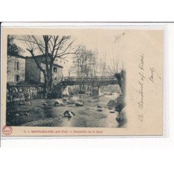 MONTGAILLARD : Passerelle sur le Scios - très bon état