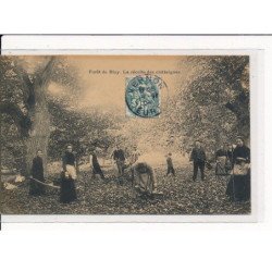 Forêt de BIZY : La Récolte des Châtaignes - très bon état