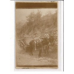 Enfants sur un attelage d'âne - état