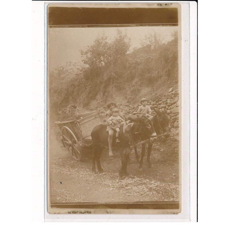 Enfants sur un attelage d'âne - état