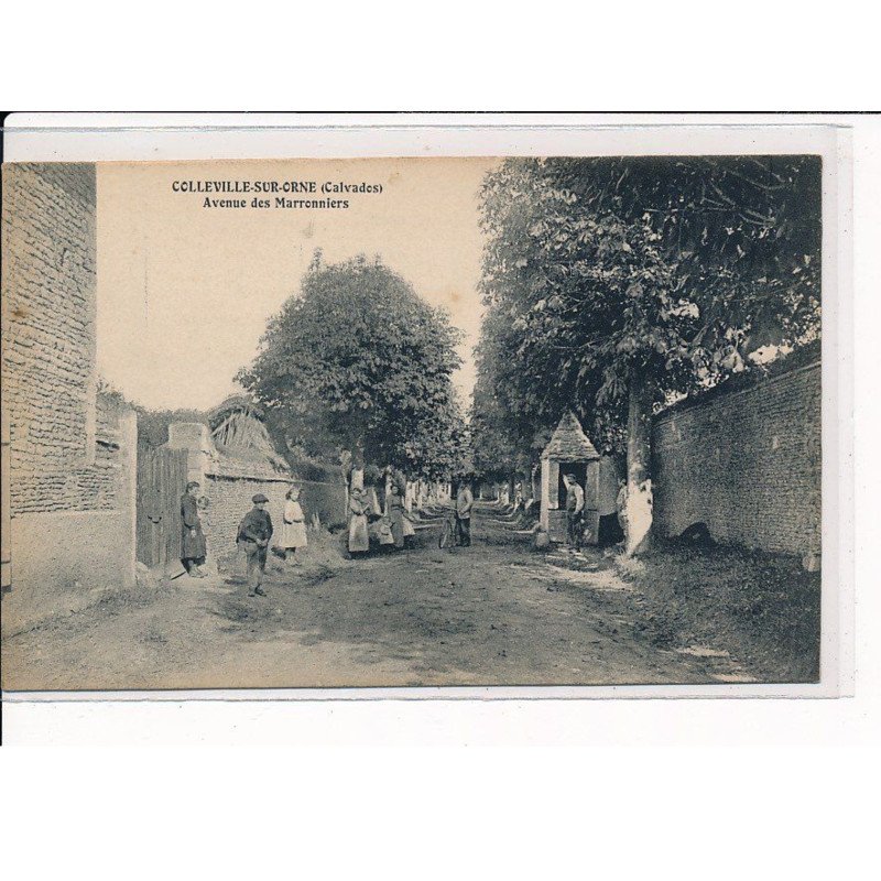 COLLEVILLE-sur-ORNE : Avenue des Marroniers - très bon état
