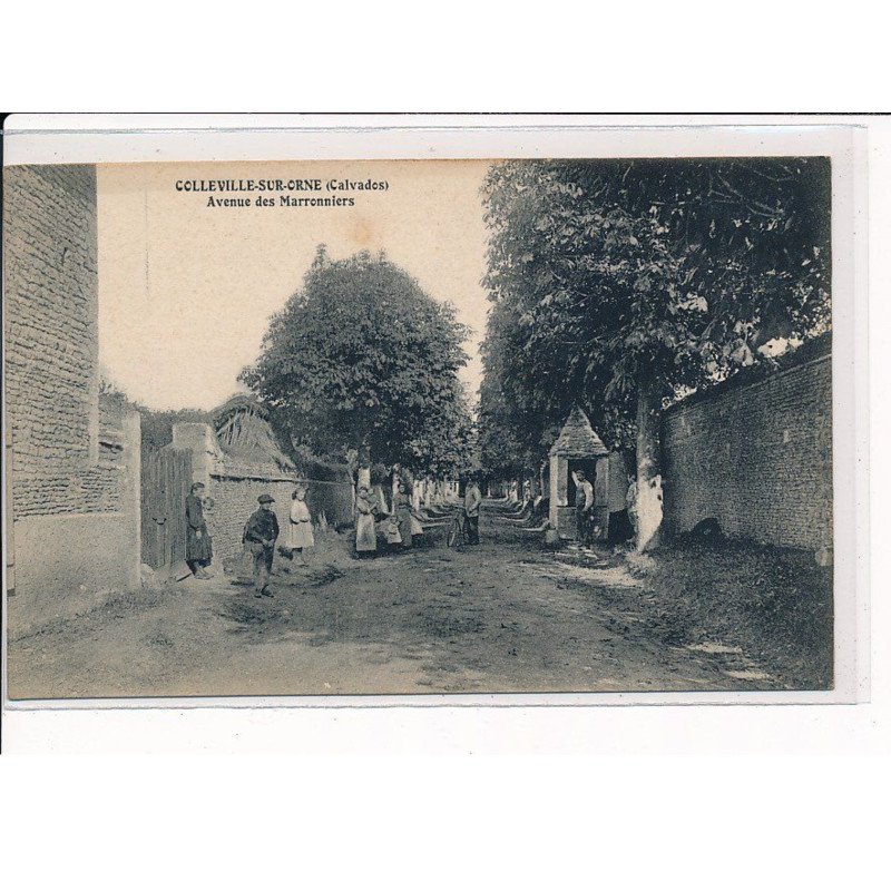 COLLEVILLE-sur-ORNE : Avenue des Marroniers - très bon état