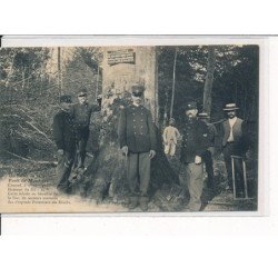 Un Hêtre de la Forêt de Marchaux - très bon état