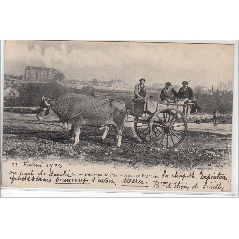 Environs de Pau : attelage béarnais - très bon état
