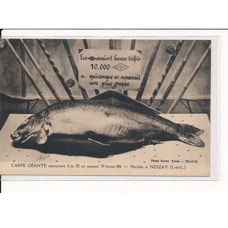 NOIZAY : Carpe Géante - très bon état