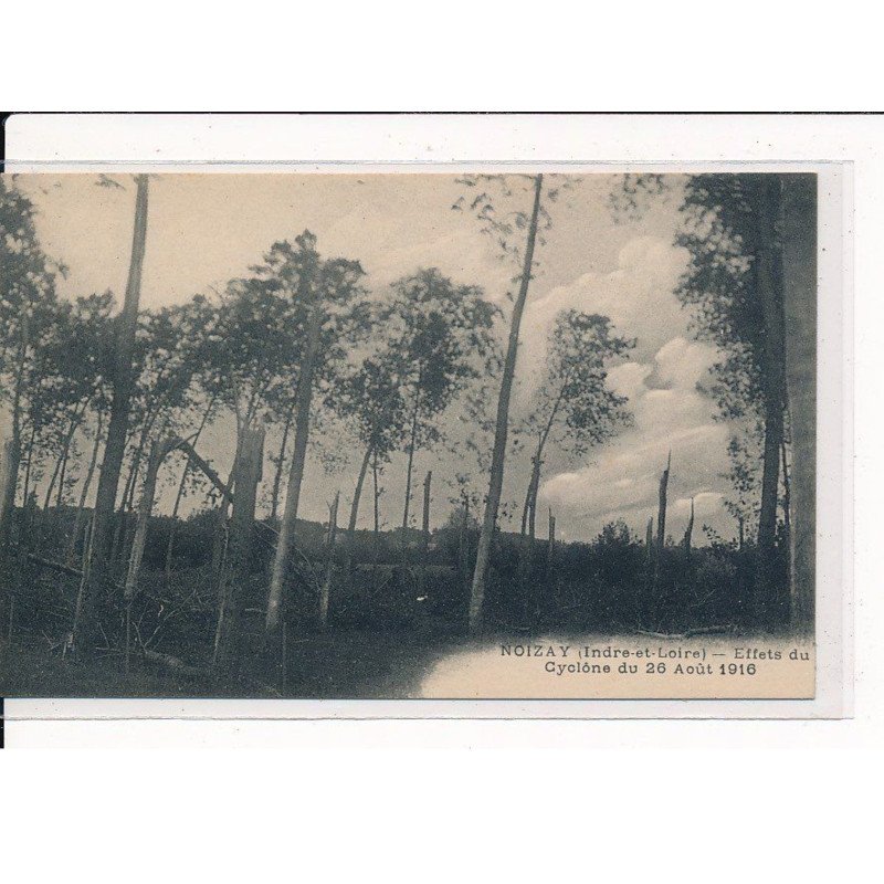 NOIZAY : Effets du Cyclône du 26 Août 1916 - très bon état