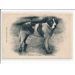 VALENCE-sur-RHONE : Mars de Valvert, saint-Bernard, à M. CASSIUS - très bon état