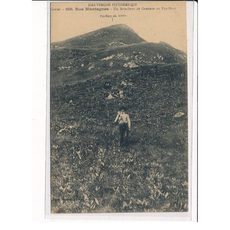 PUY-MARY : Un arracheur de Gentiane - très bon état