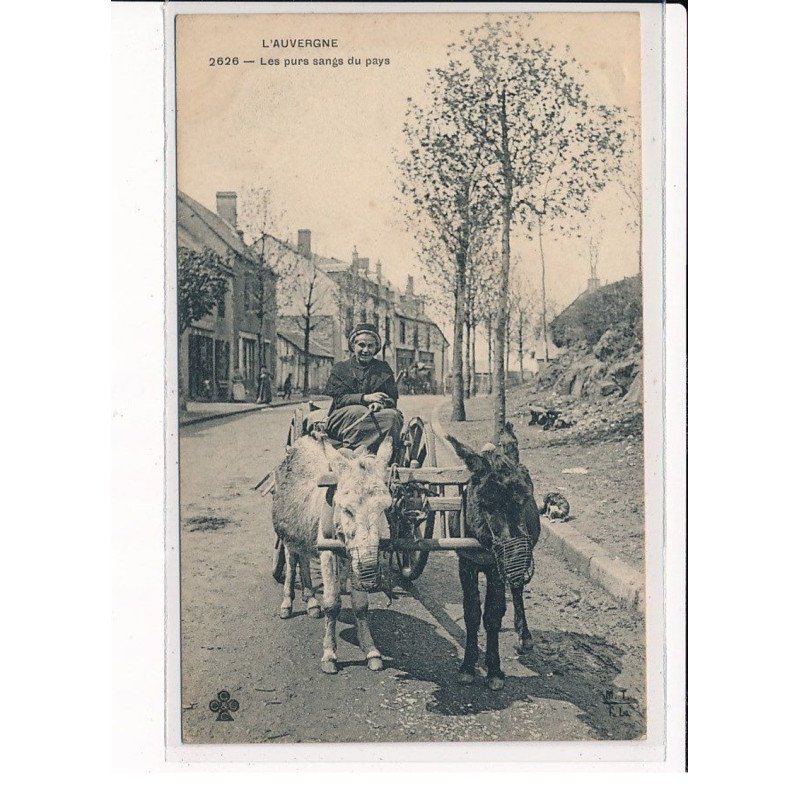 Les Purs sangs du pays - très bon état