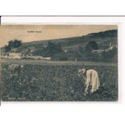 ALIZAY : Culture - très bon état