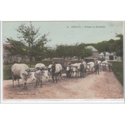 AUFFAY : ferme de Bosmelet - très bon état