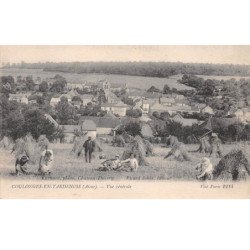 COULONGES EN TARDENOIS - Vue générale - très bon état