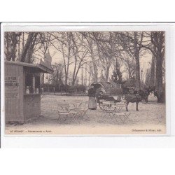 LE VESINET : promenades à âne (attelage) - très bon état