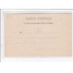 LE VESINET : promenades à âne (attelage) - très bon état