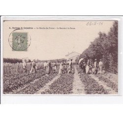 Environs de CARPENTRAS : la récolte des fraises - la rentrée à la ferme - très bon état