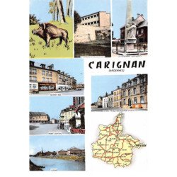 CARIGNAN - très bon état