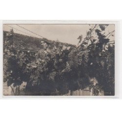 MERU : carte photo des vignes "sous le plateau de la gare" en 1934 (vendanges) - très bon état