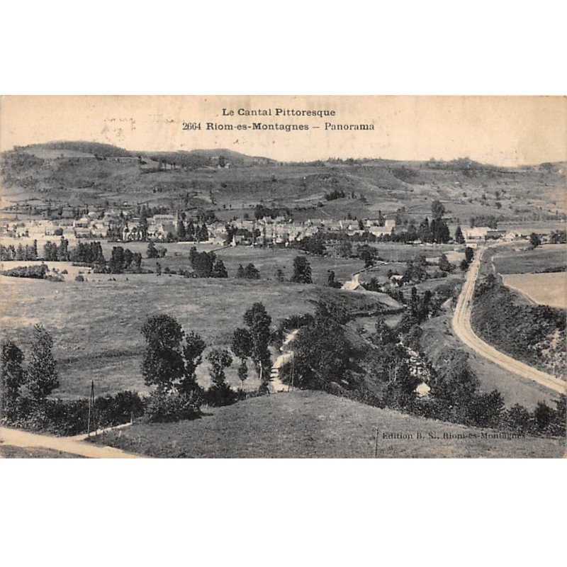 RIOM ES MONTAGNES - Panorama - très bon état
