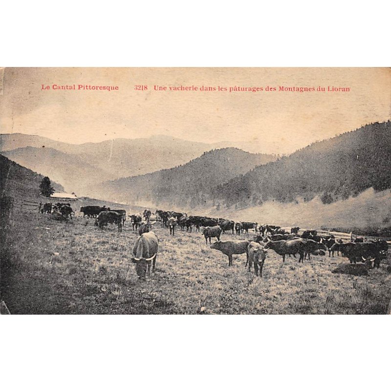 Une Vacherie dans les Pâturages des Montagnes du Lioran - très bon état