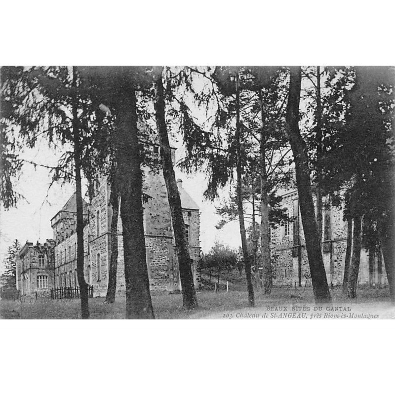 Château de SAINT ANGEAU près Riom es Montagnes - très bon état